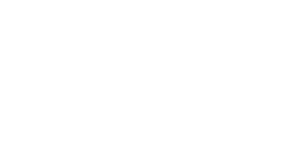 SFDI Logo
